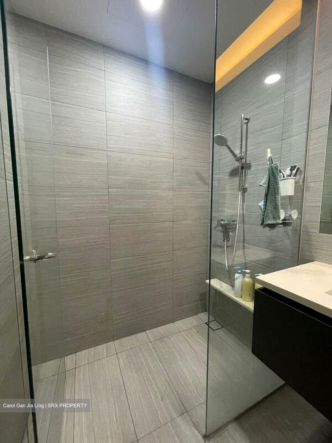 d'Nest (D18), Condominium #518974661